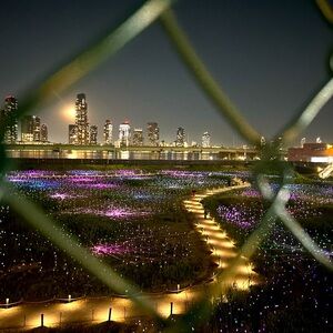 Meet your Posher, Xay